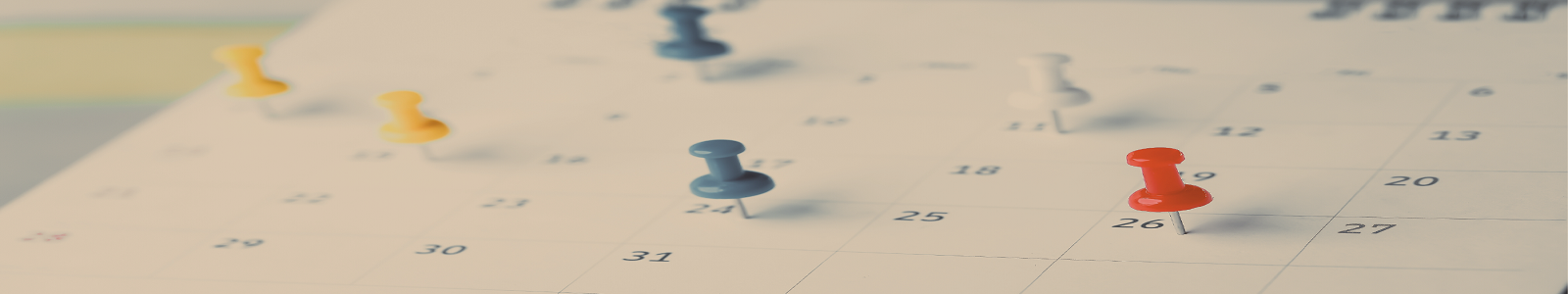 Event & Activities